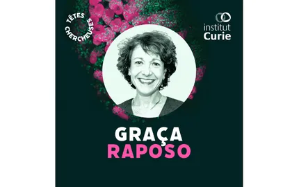 Portrait - Graça Raposo
