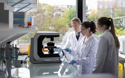 A Franco-Brazilian chair awarded to CellAction to accelerate innovation in cell therapy