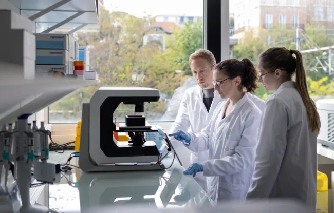 A Franco-Brazilian chair awarded to CellAction to accelerate innovation in cell therapy