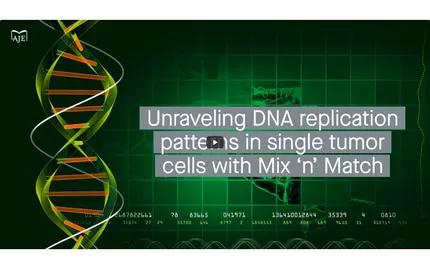 MnM : un nouvel outil basé sur l’IA pour mieux étudier l’hétérogénéité cellulaire